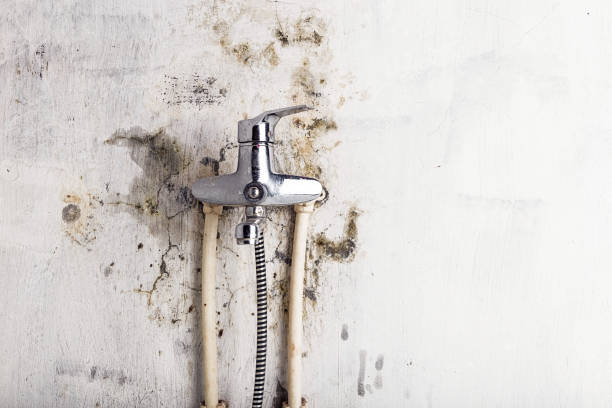 Best Residential Mold Removal  in Crete, NE