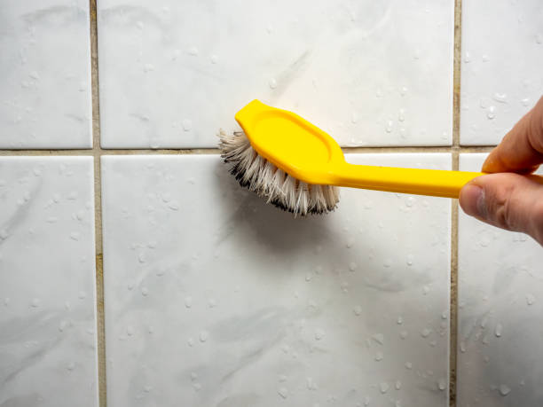 Best Office Mold Removal Services  in Crete, NE