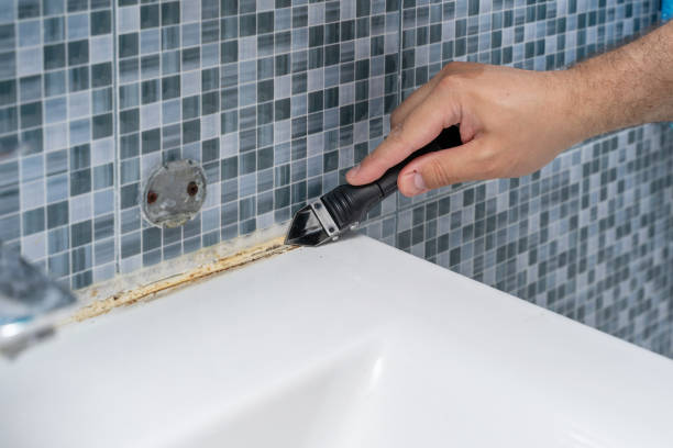 Best Mold Cleaning Services  in Crete, NE