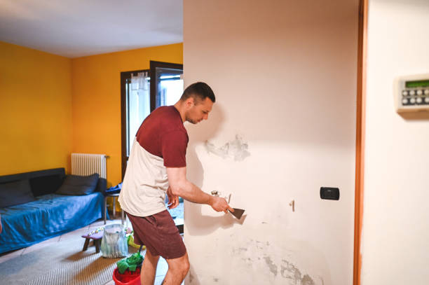 Best Crawl Space Mold Removal  in Crete, NE