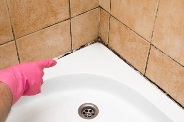 Crawl Space Mold Removal in Crete, NE